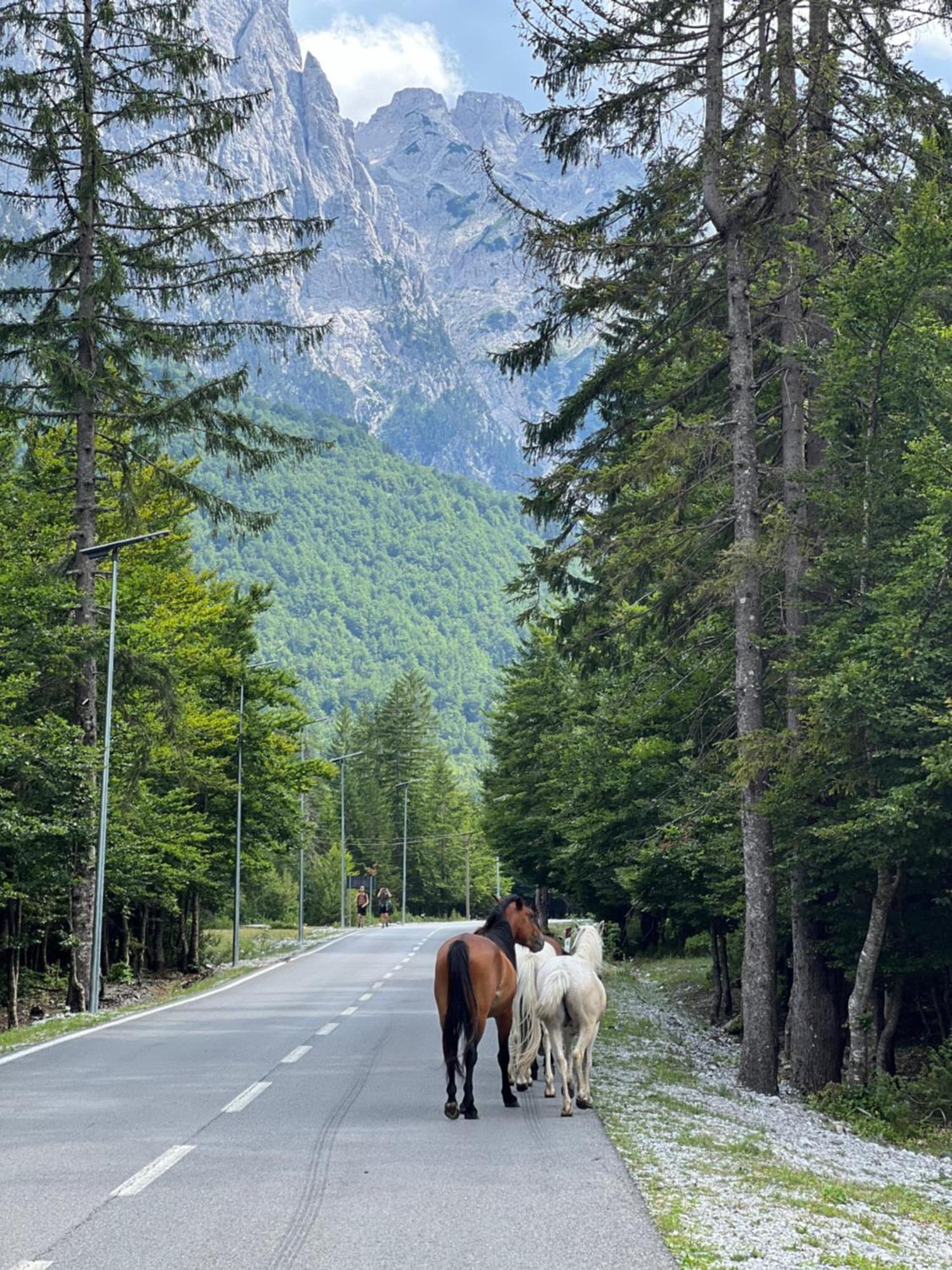 Krojet E Rrogamit Valbona Esterno foto